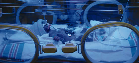 Infant